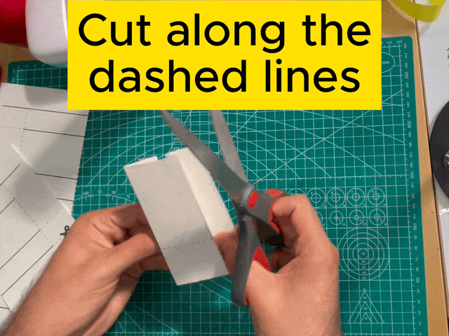 3_6_cutting.gif