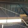 img_2420.jpeg