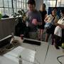 gadget-malleable-computing-party-img_2103-medium.jpeg